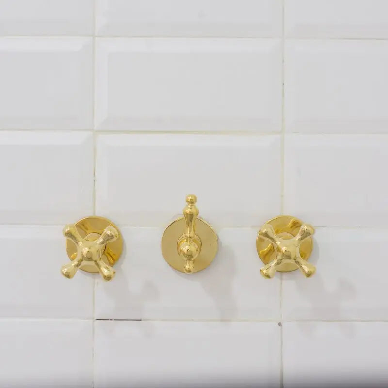 Brass Shower Fixtures – Dual Shower Head