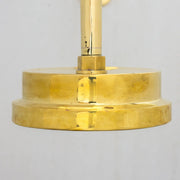 Unlacquered Brass Rain Showerhead, Handcrafted Showerhead, Outdoor Headshower